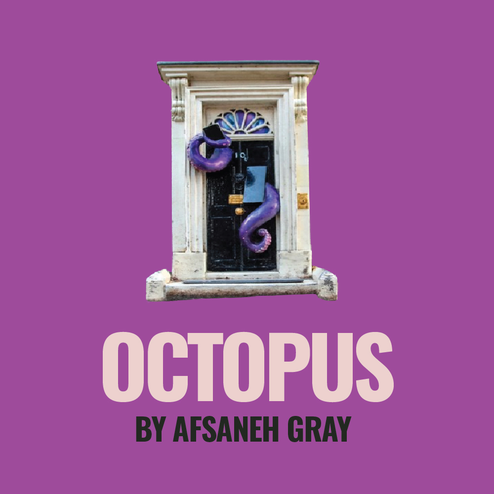 Octopus by Afsaneh Gray