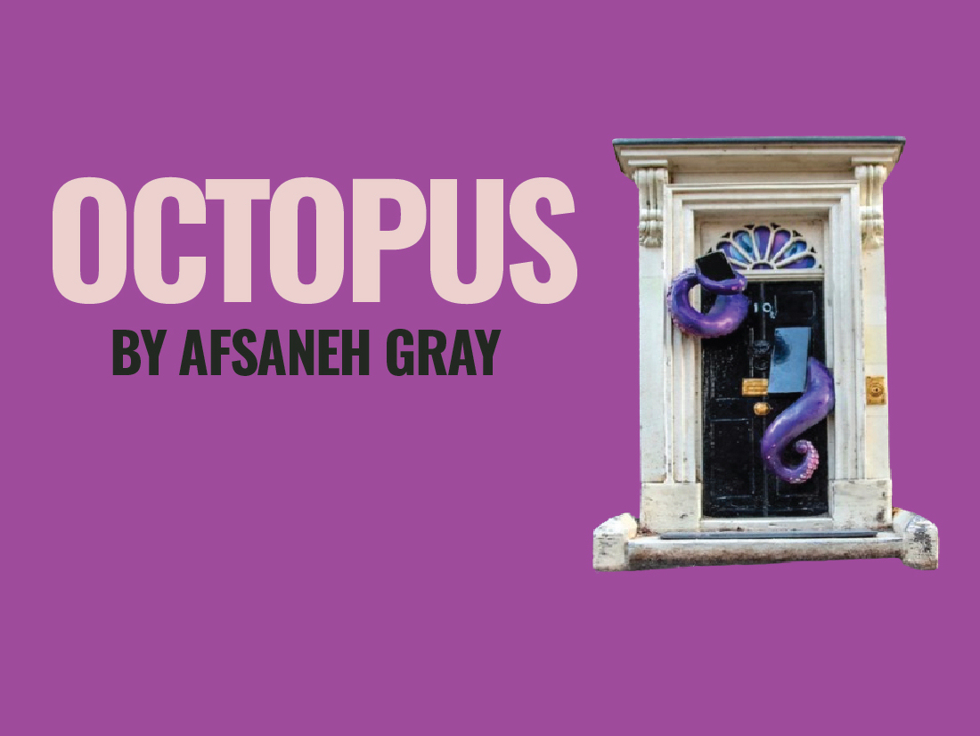 Octopus by Afsaneh Gray