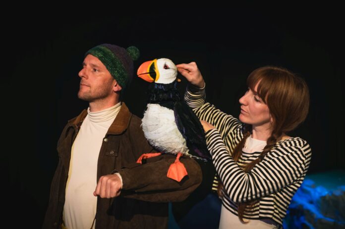 Much Ado About Puffin
